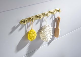 Планка с шестью крючками Aquatek Европа AQ4124BG шлифованное золото